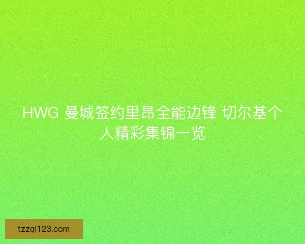 HWG 曼城签约里昂全能边锋 切尔基个人精彩集锦一览