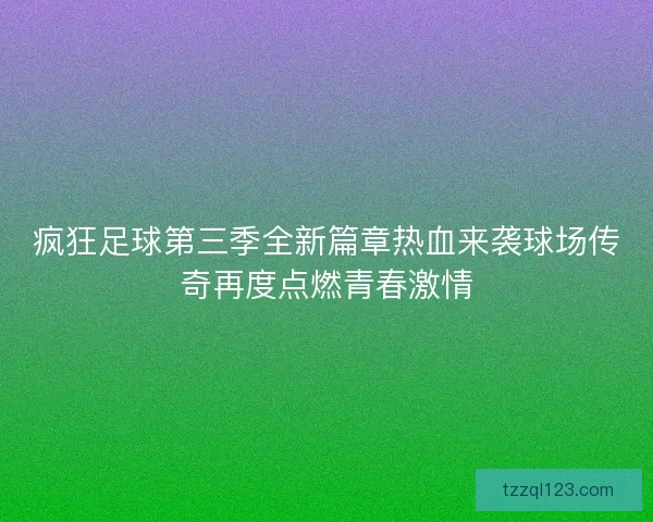 疯狂足球第三季全新篇章热血来袭球场传奇再度点燃青春激情