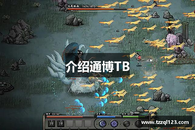 介绍通博TB